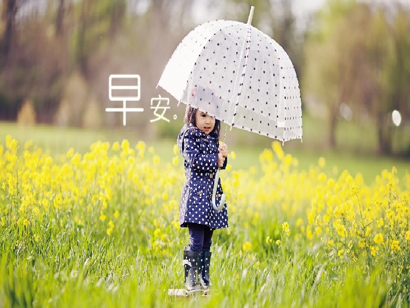 cook导丝治疗费用试管里尿液有泡沫113医院试管价格