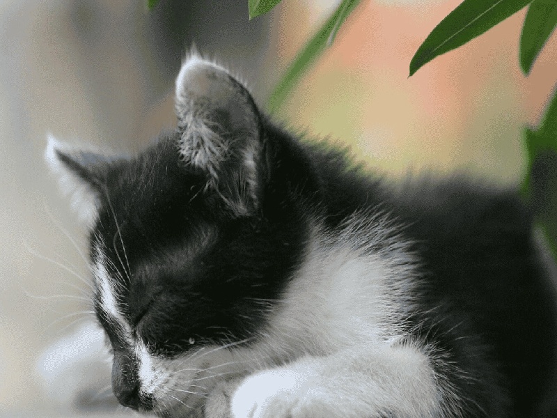 试管加热实验操作从化区试管香水宁夏做试管的医院